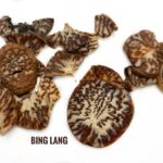 Bing Lang