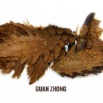 Guan Zhong